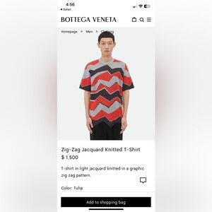 Bottega Veneta Multicolor Zig-Zag Jacquard Knit Tee